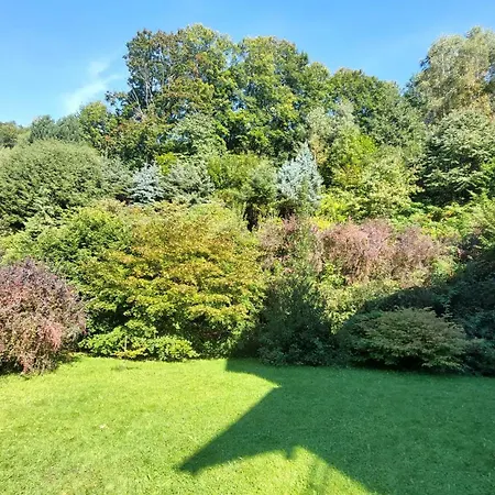 Miedzygorski Daire *