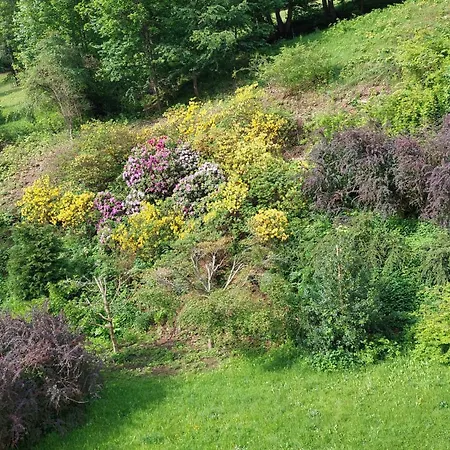 Miedzygorski * Wölfelsgrund