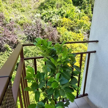 Międzygórski Apartament *