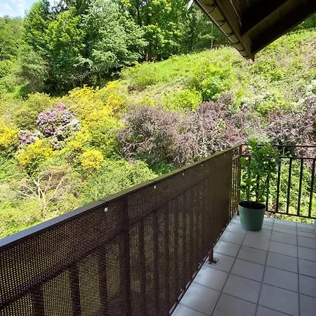 Apartment Miedzygorski Wölfelsgrund