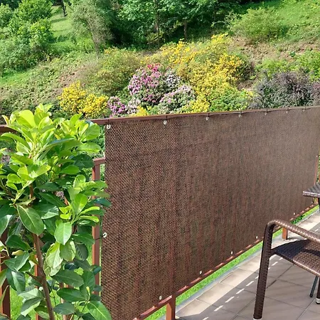 Miedzygorski Daire *