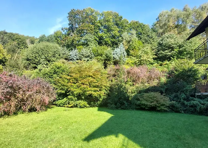 Miedzygorski Apartment *