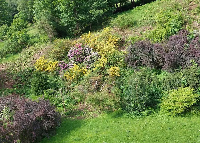 Miedzygorski * Miedzygorze