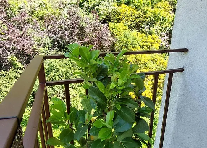 Miedzygorski Apartment *