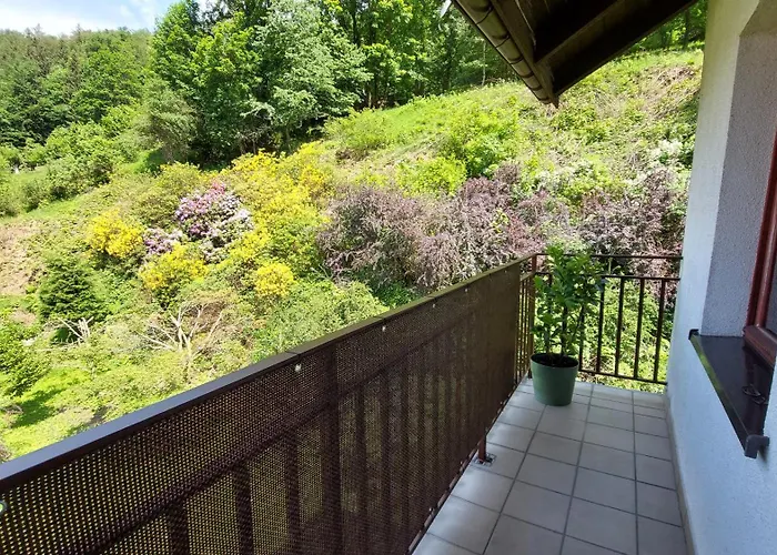 Apartment Miedzygorski Miedzygorze