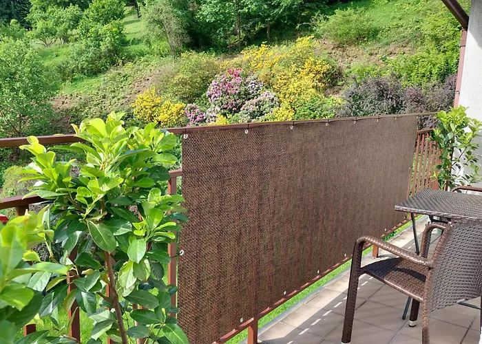 Miedzygorski Apartment *