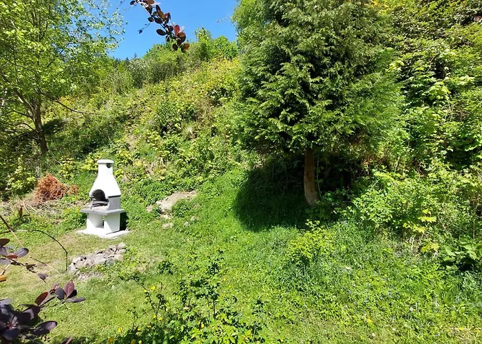 Miedzygorski * Miedzygorze